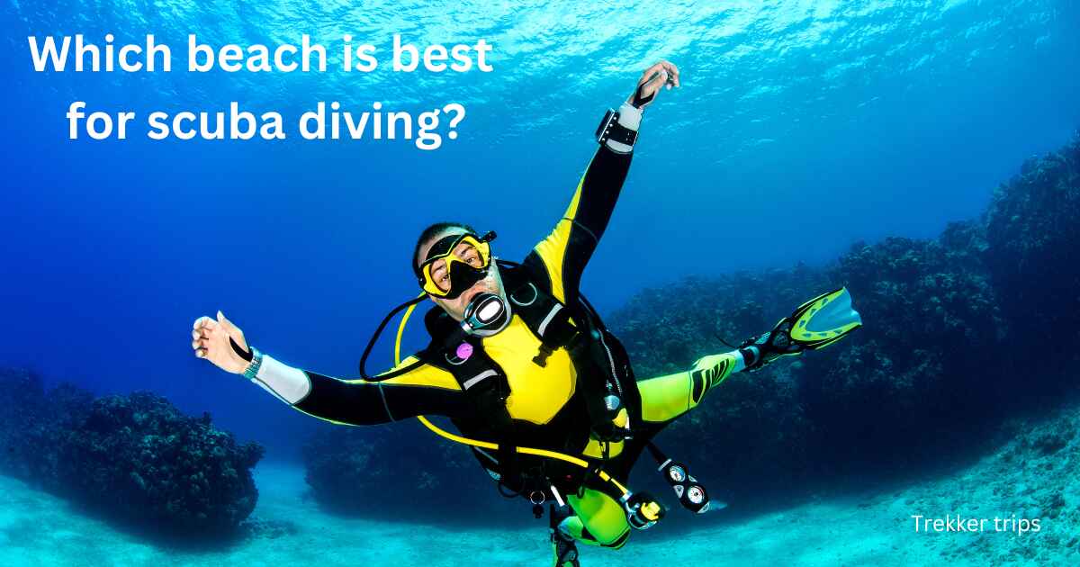 Which beach is best for scuba diving?